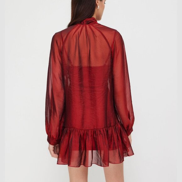 Red Bowknot Sheer Mini Dress with Cami Mini Dress - Picture 2 of 13